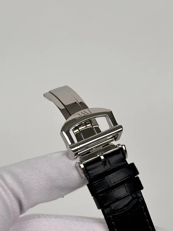 IWC Chronograph IW391002 8