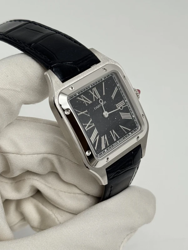 Cartier WGSA0099 2