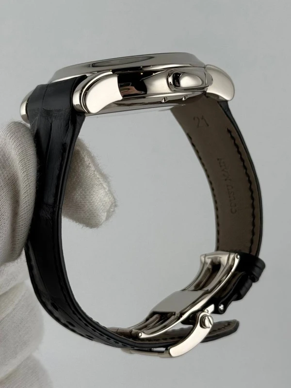 Ulysse Nardin GMT ± Perpetual 42mm 320-60 7