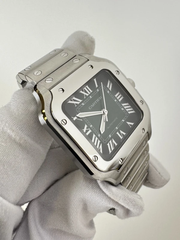 Cartier WSSA0061 3