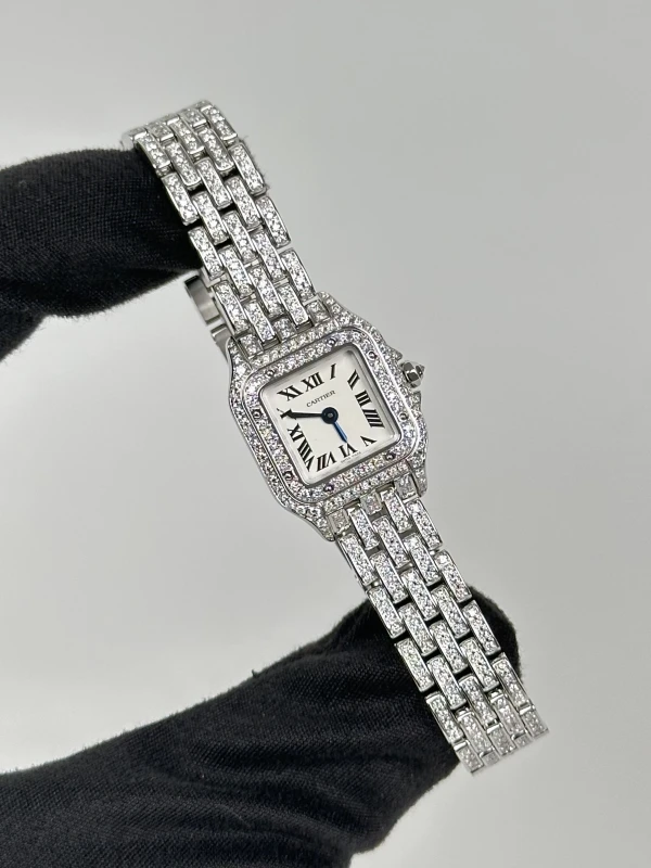 Cartier de Cartier WSPN0019 FIX 2