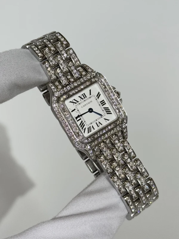 Cartier de Cartier WSPN0007 FIX 2