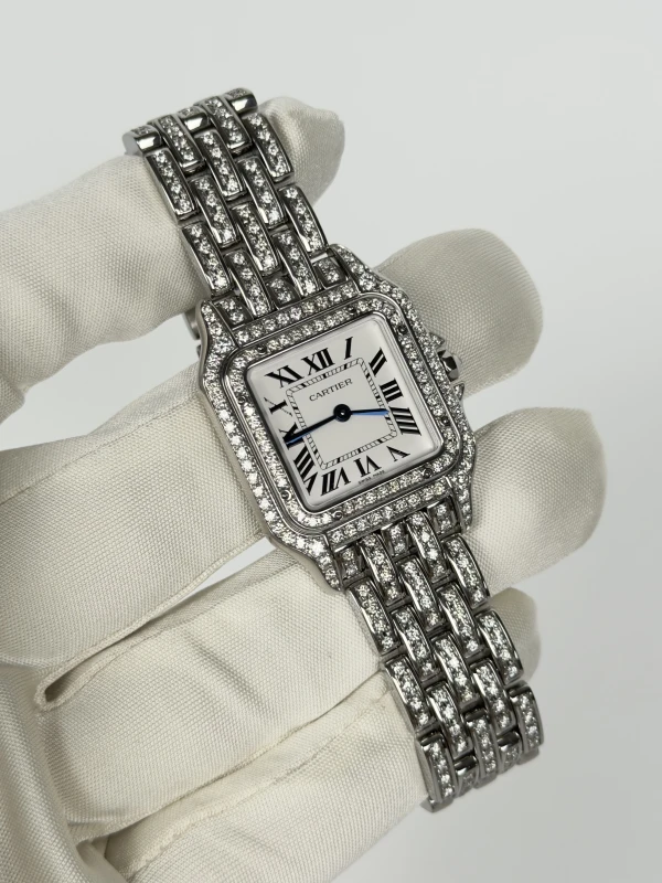 Cartier de Cartier WSPN0015FIX 2