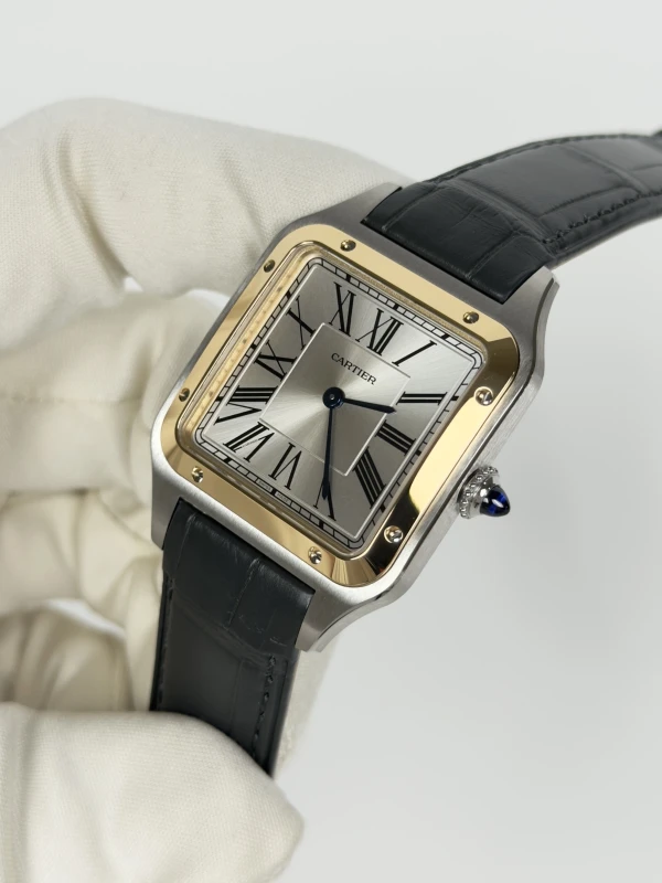 Cartier W2SA0046 3