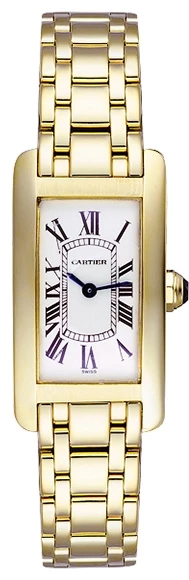 Cartier Americaine W26015K2 изображение - 1