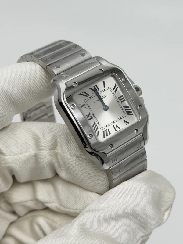 Cartier WSSA0082 4