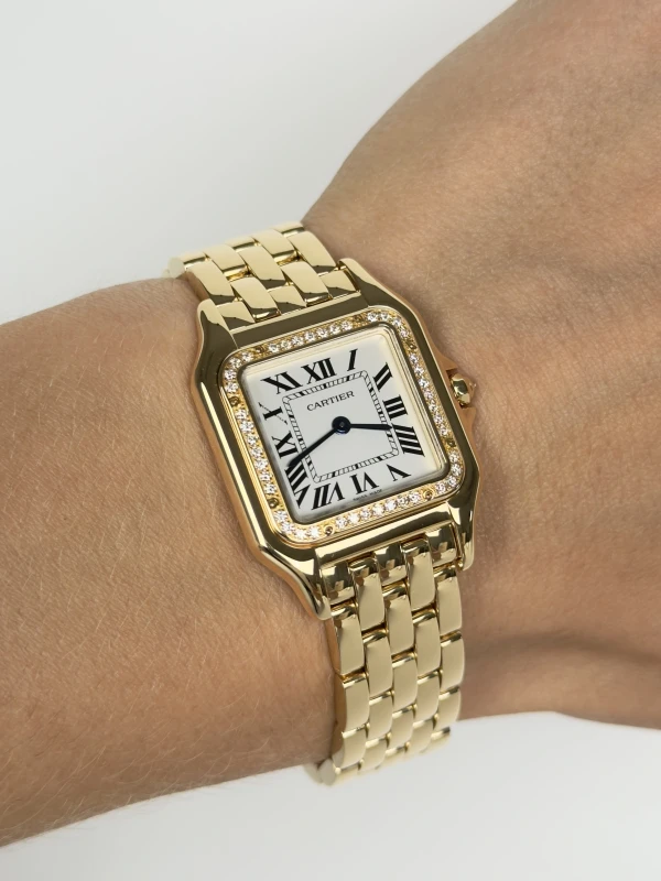 Cartier de Cartier Medium model WJPN0016 4