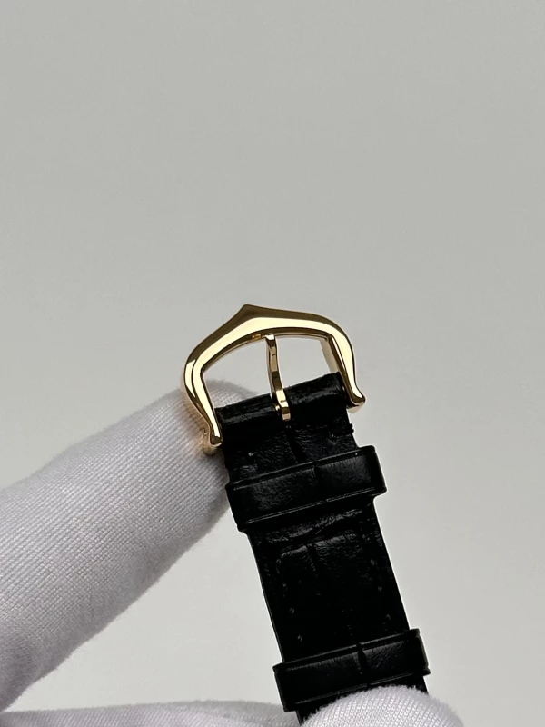 Cartier W6900256 8