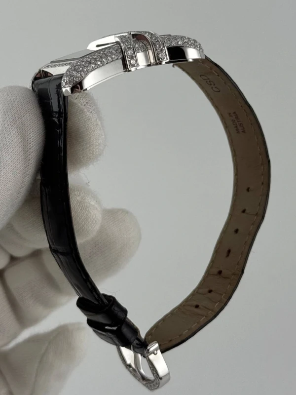 Cartier WJ306014 6
