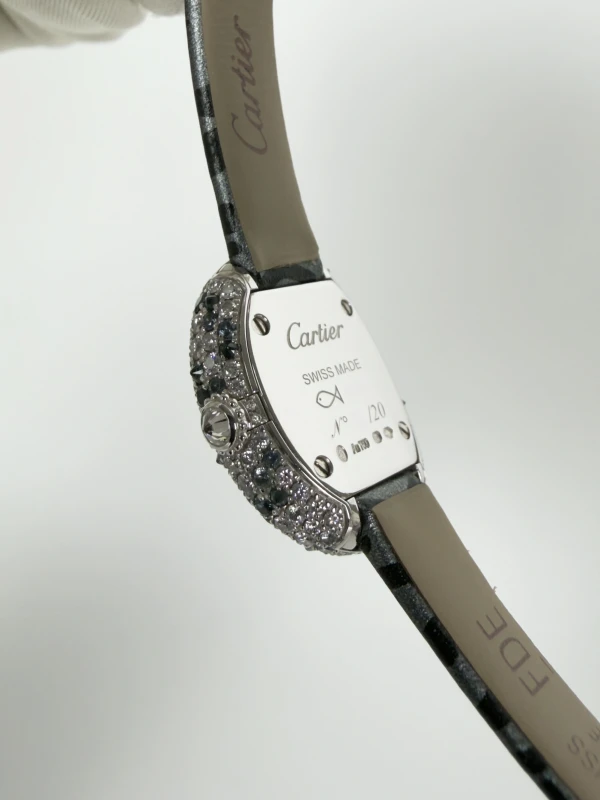 Cartier WJBA0037 8
