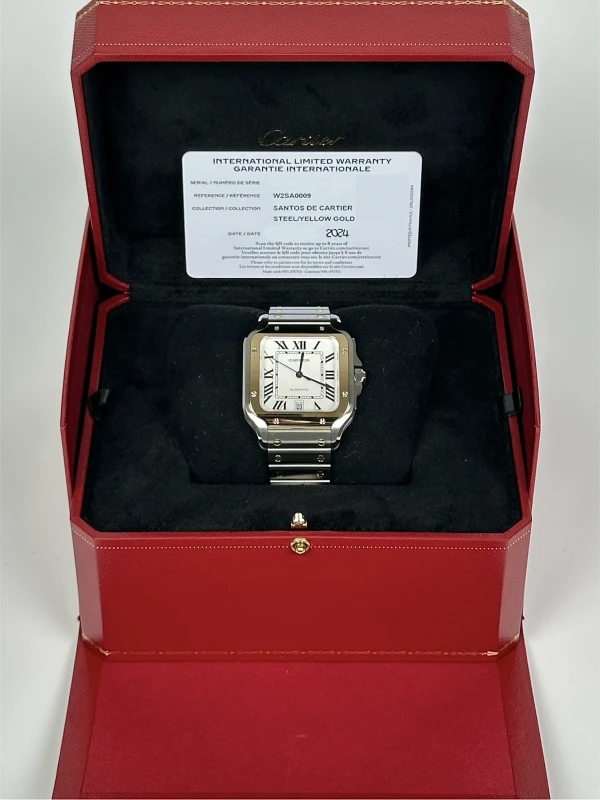 Cartier W2SA0009 9