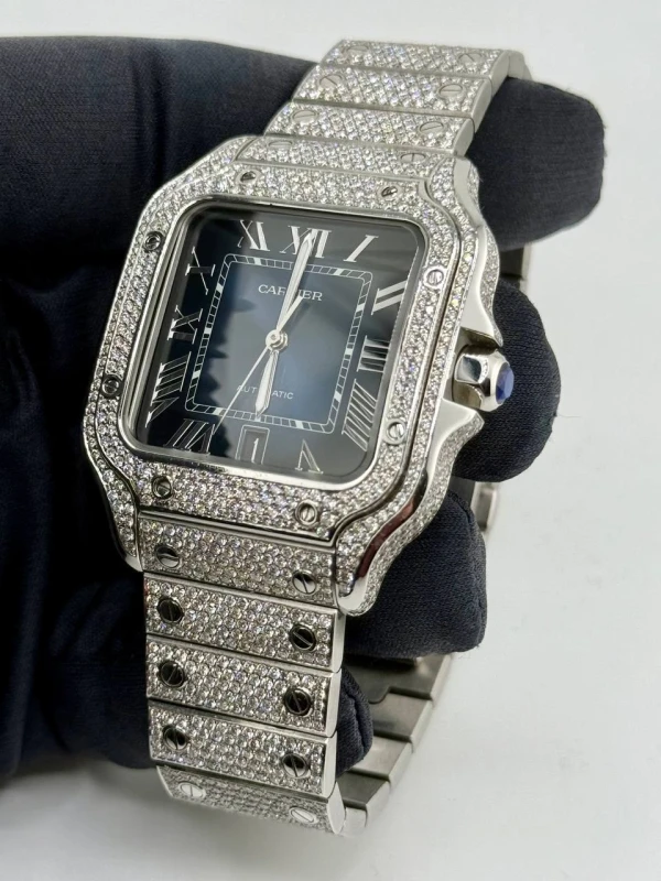 Cartier WSSA0030 4