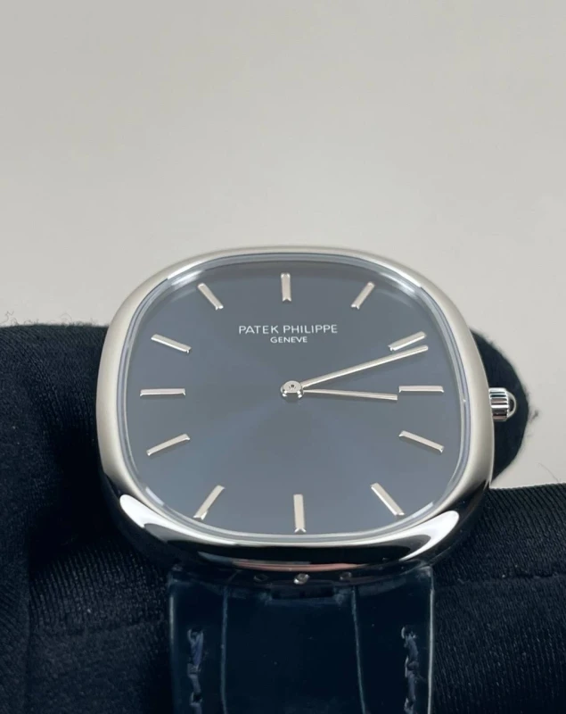 Patek Philippe 5738P-001 4