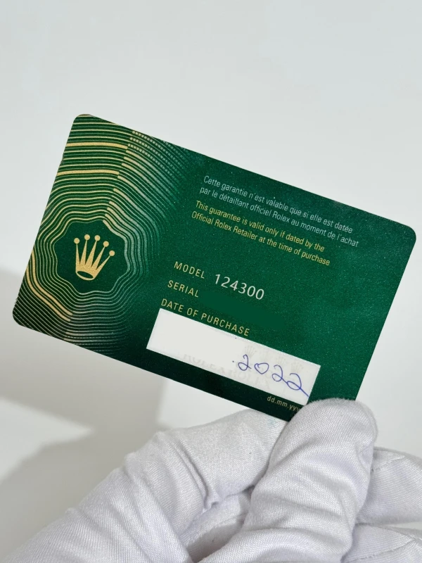 Rolex 41 mm Steel 124300-0005 7