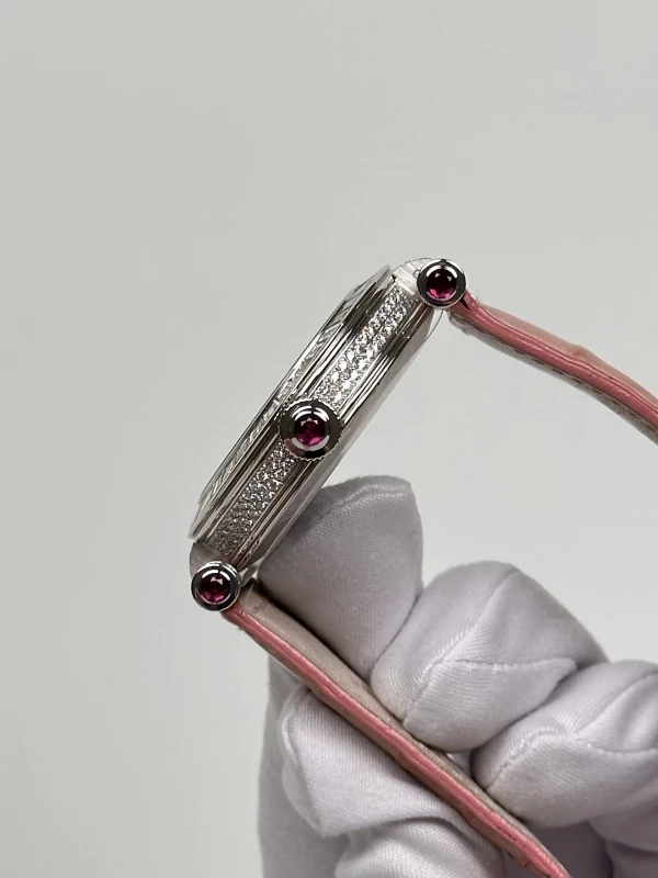 Franck Muller DM 39 BAG CD RU 5N 6