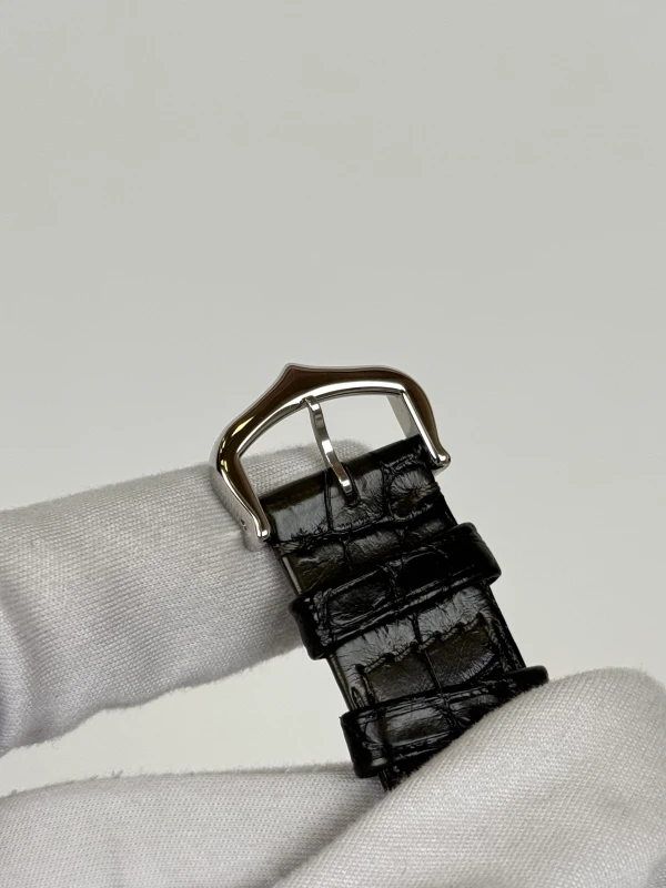 Cartier LOUIS CARTIER WGTA0279 8