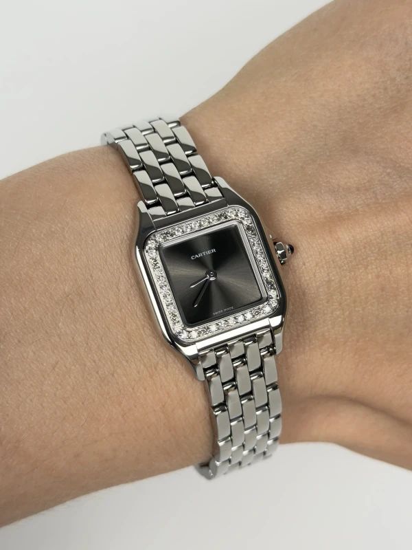 Cartier Small WSPN0006TUN 4
