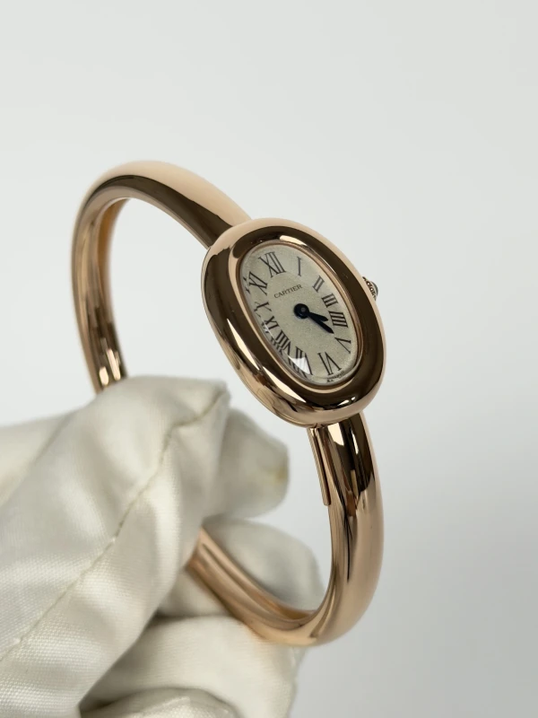 Cartier Mini mode WGBA0048 2