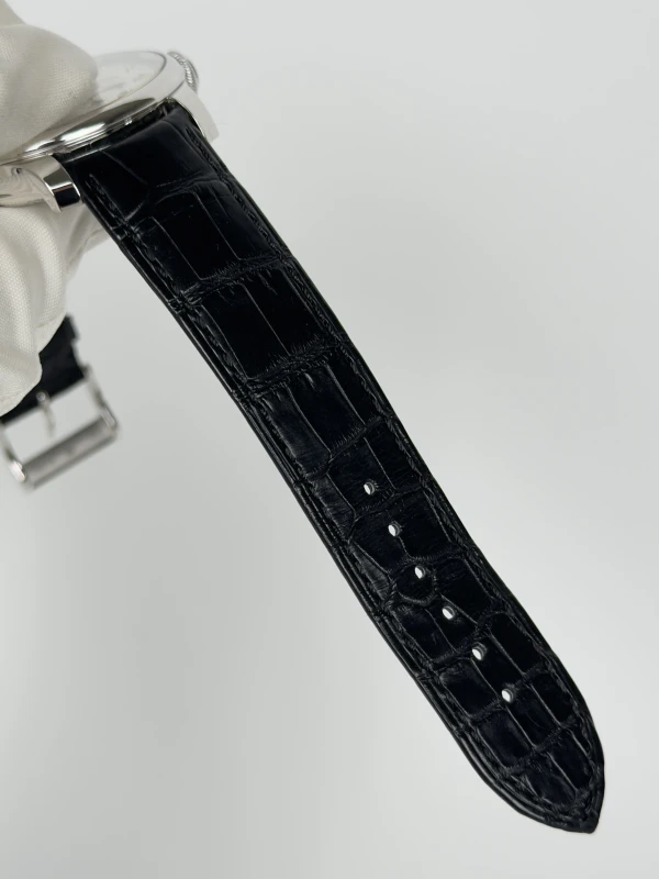 FP Journe Divine New Platinum DN PT 5