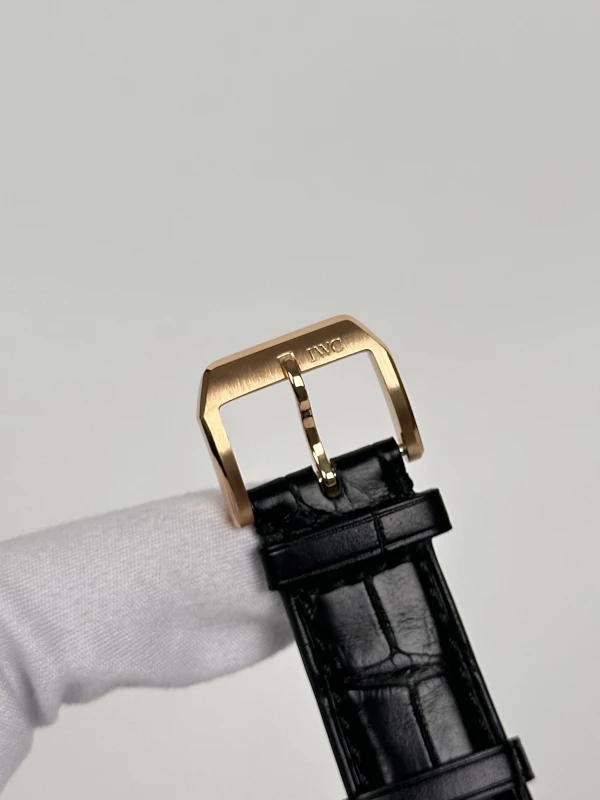 IWC Antoine De Saint Exupery IW3261-03 8
