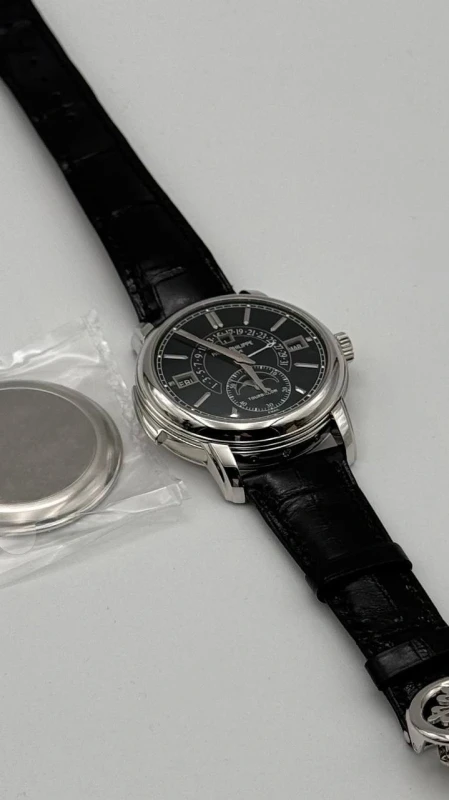 Patek Philippe GRAND COMPLICATIONS 5316P-001 8