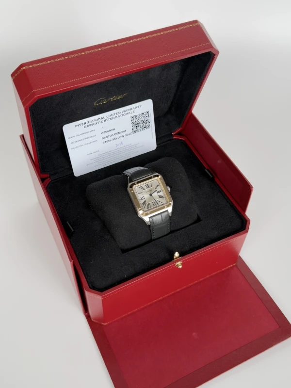 Cartier W2SA0046 7