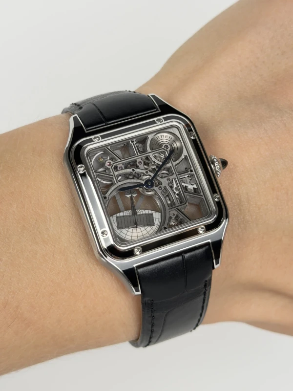 Cartier WHSA0044 6
