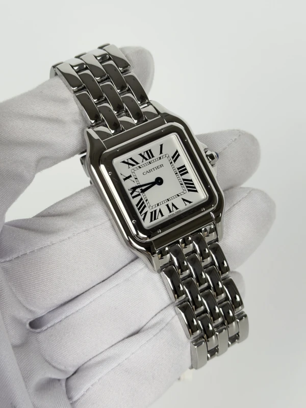 Cartier 31mm WSPN0016 2