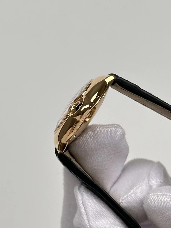 Cartier W6900256 6