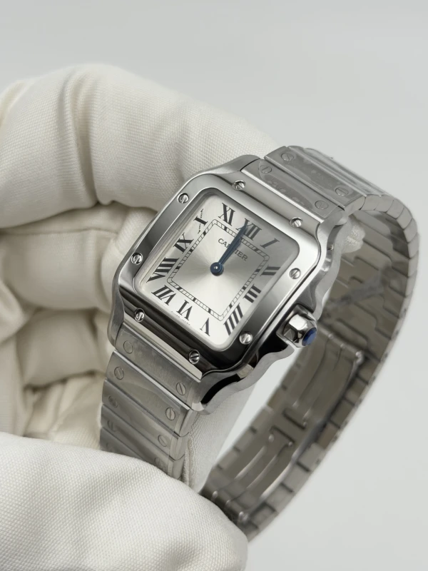 Cartier WSSA0082 3