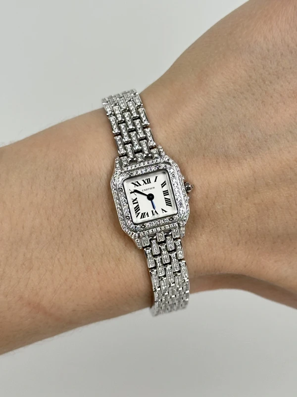 Cartier de Cartier WSPN0019 FIX 5