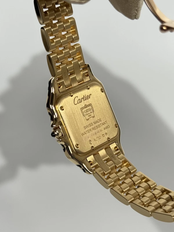 Cartier Paris Boutique Edition WGPN0053 6