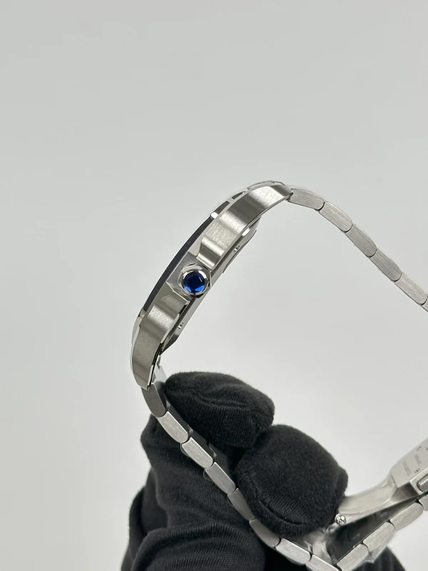 Cartier WSSA0030 5