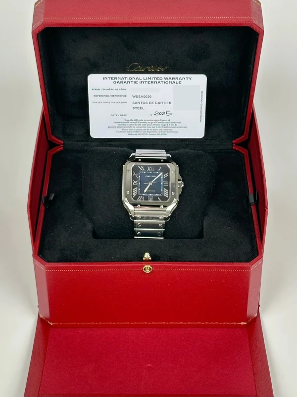 Cartier WSSA0030 9