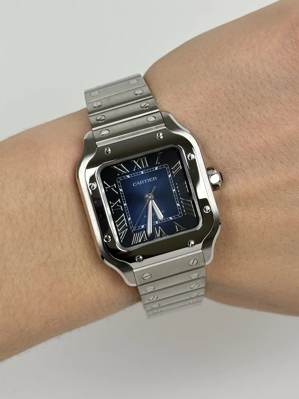Cartier WSSA0063 8