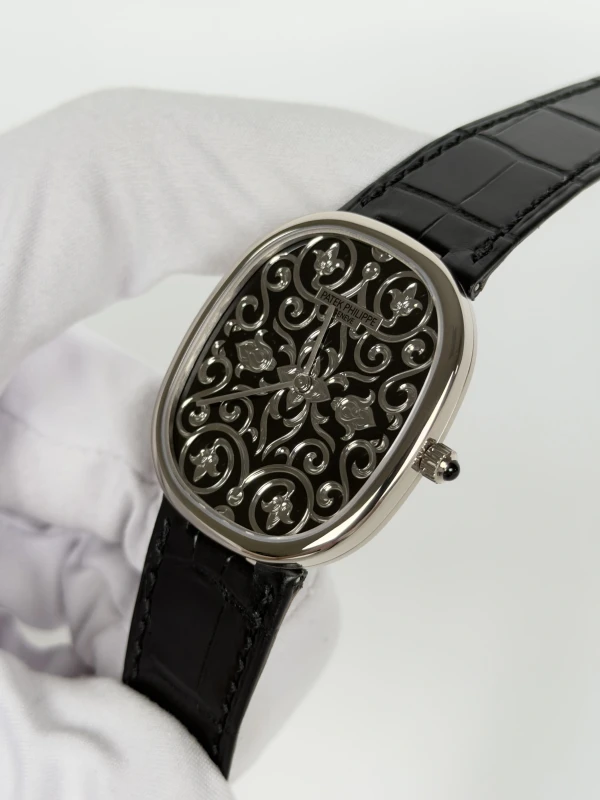 Patek Philippe 5738/51G-001 4