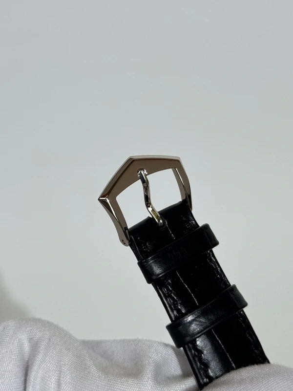 Patek Philippe ANNUAL CALENDAR 5205 5205G-013 6