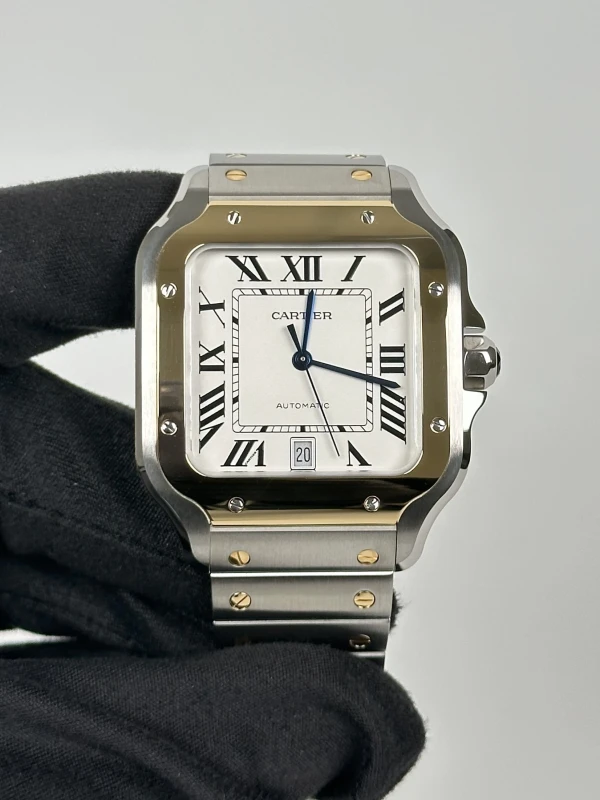 Cartier W2SA0009 3