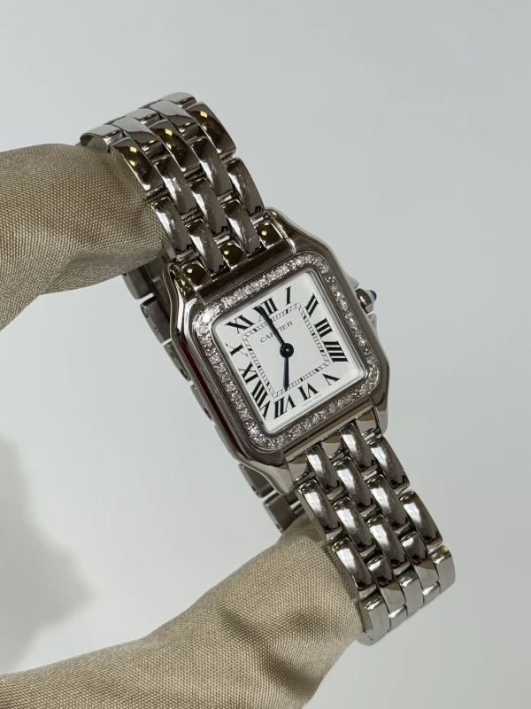 Cartier de Cartier WSPN0007 FIX2 2