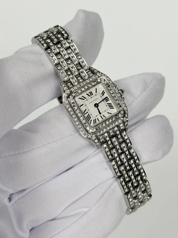 Cartier de Cartier WSPN0013 FIX 2
