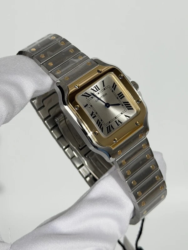 Cartier small model W2SA0033 2