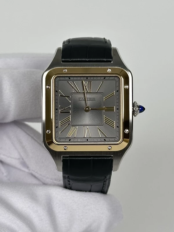 Cartier W2SA0028 2