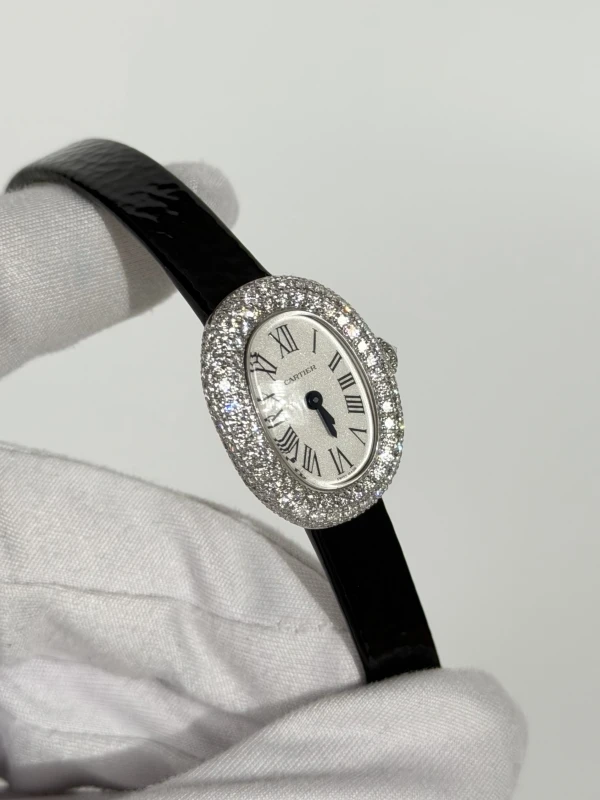 Cartier WJBA0050 3