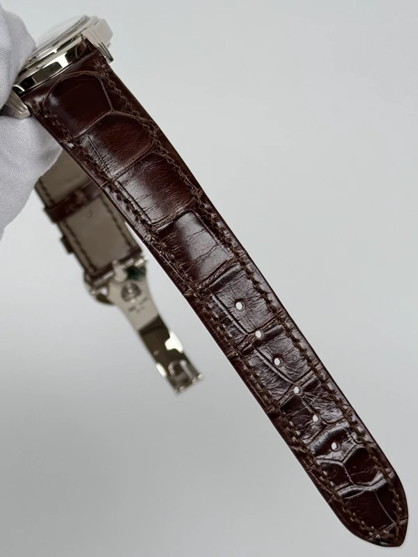 Patek Philippe Complications 5172G-010 8