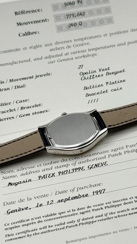 Patek Philippe 5040 Platinum 5040Pt 6
