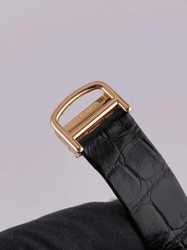 Cartier Dumont Small W2009251 2788 8