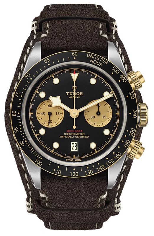 Tudor CHRONO S&G M79363N-0002 изображение - 1