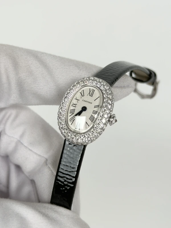 Cartier WJBA0050 4