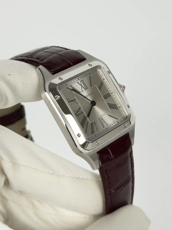 Cartier WGSA0034 2