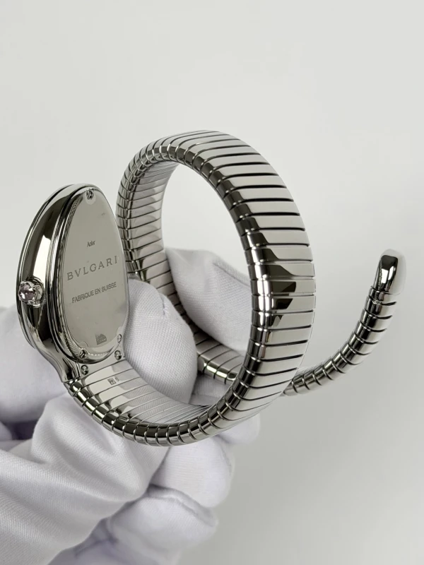 Bvlgari Serpenti Silver Dial 101828 5